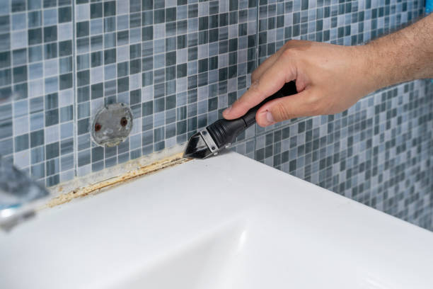 Best Professional Mold Removal  in North El Monte, CA